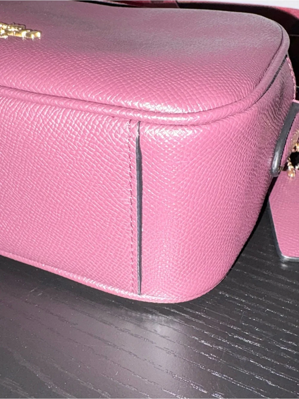 Coach Jes 20 Crossbody Plum Raisin Crossgrain Leather Camera Bag